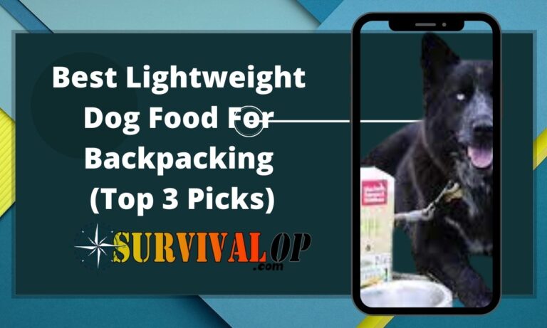 Best Lightweight Dog Food For Backpacking (Top 3 Picks)