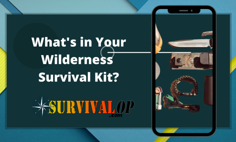 What's in Your Wilderness Survival Kit