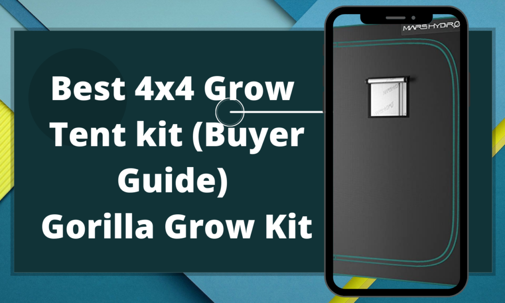 Best 4x4 Grow Tent kit