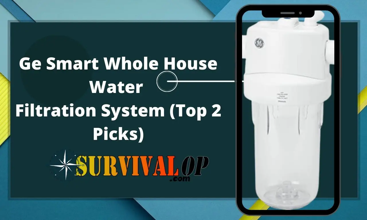 Ge Smart Whole House Water Filtration System (Top 2 Picks)