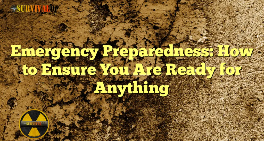 Emergency Preparedness: How to Ensure You Are Ready for Anything