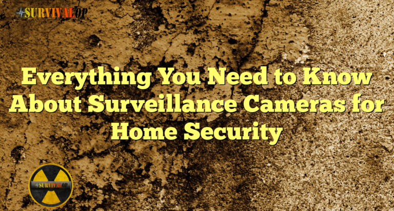 Everything You Need to Know About Surveillance Cameras for Home Security