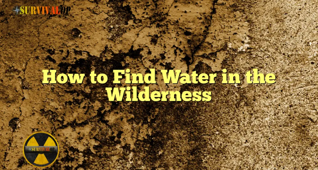 How to Find Water in the Wilderness