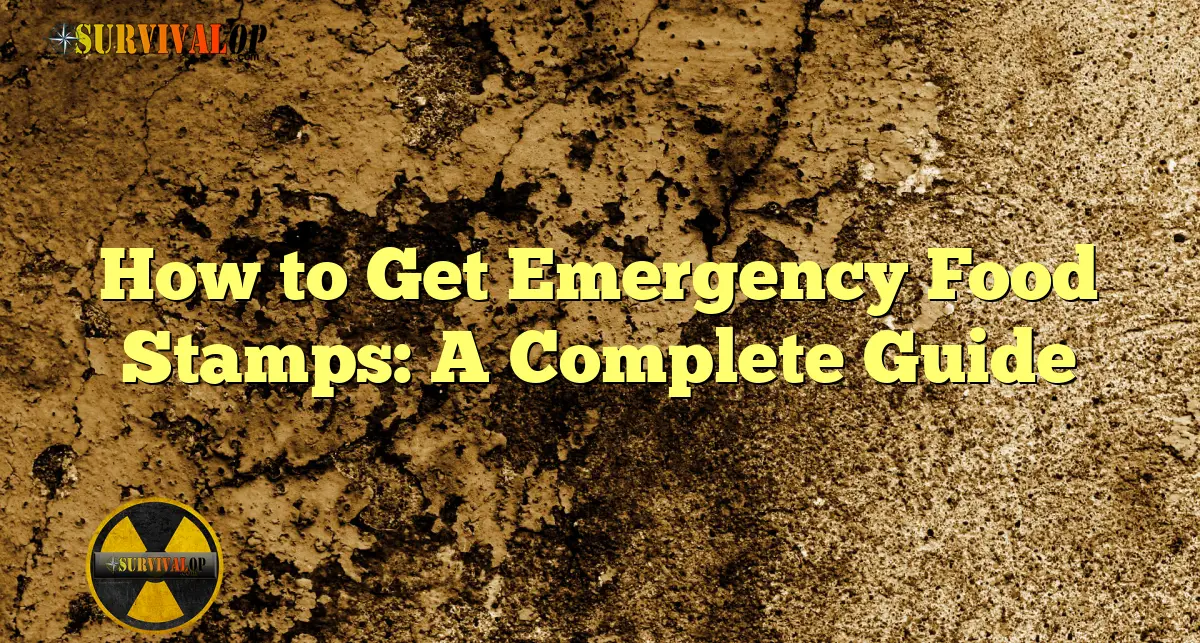 How to Get Emergency Food Stamps A Complete Guide SurvivalOP
