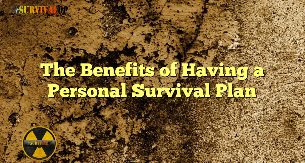The Benefits of Having a Personal Survival Plan